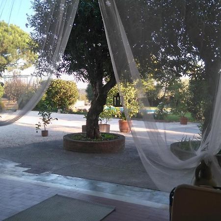 Il Gelso Di Barcuzzi Bed & Breakfast Lonato Luaran gambar