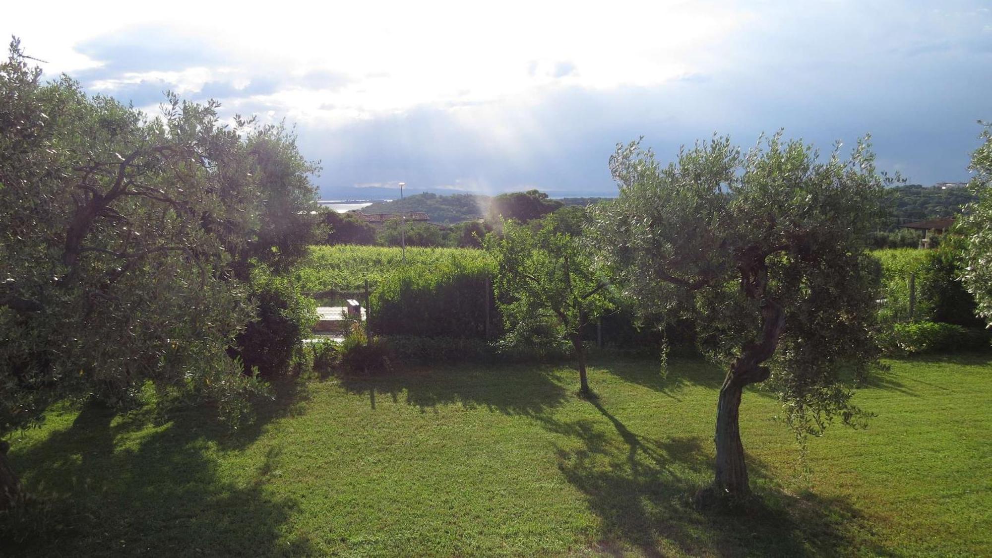 Il Gelso Di Barcuzzi Bed & Breakfast Lonato Luaran gambar