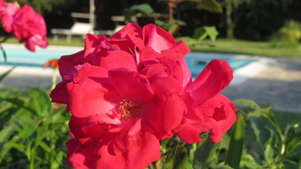 Il Gelso Di Barcuzzi Bed & Breakfast Lonato Luaran gambar