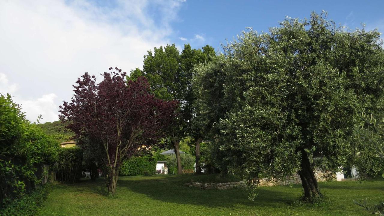 Il Gelso Di Barcuzzi Bed & Breakfast Lonato Luaran gambar