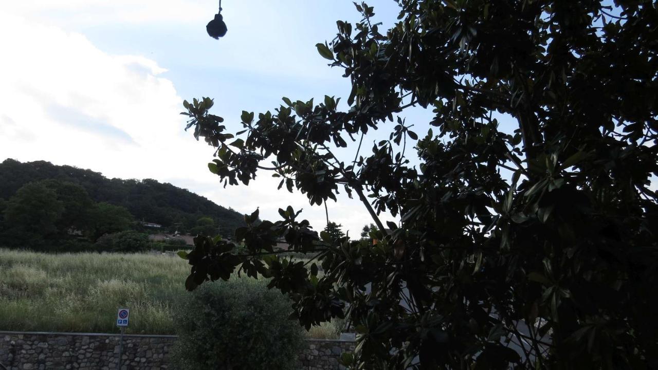 Il Gelso Di Barcuzzi Bed & Breakfast Lonato Luaran gambar