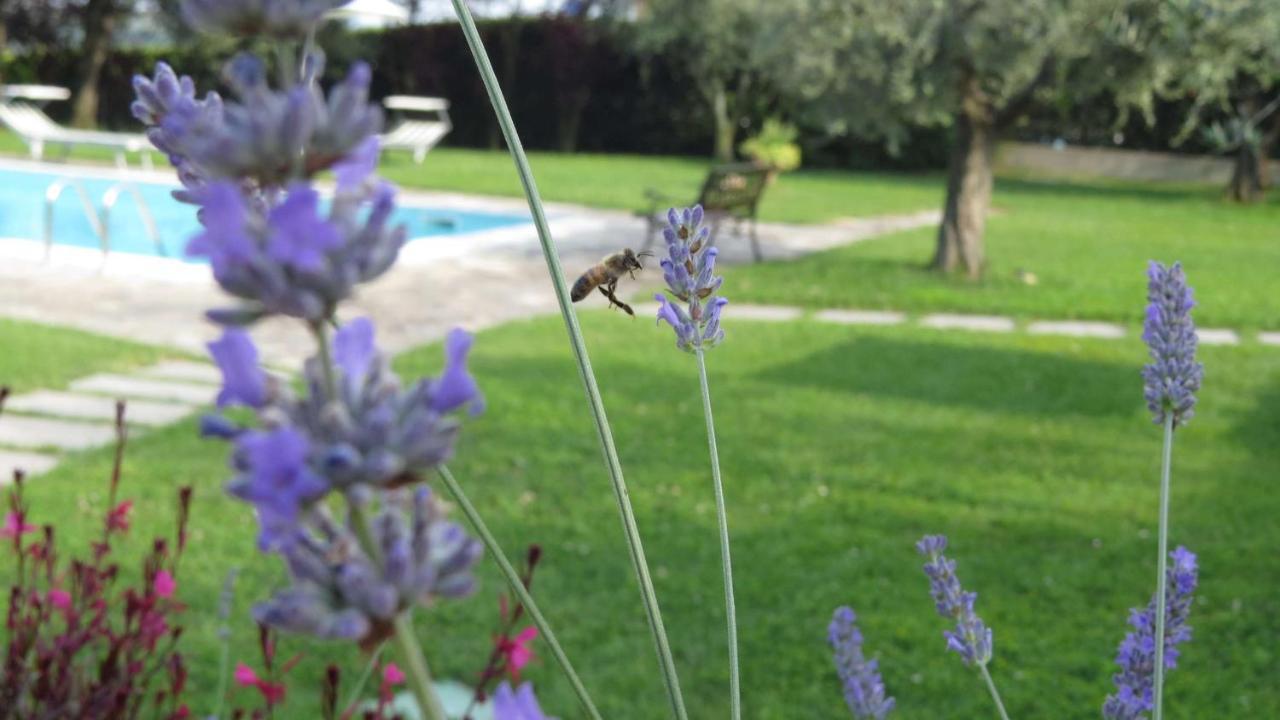 Il Gelso Di Barcuzzi Bed & Breakfast Lonato Luaran gambar