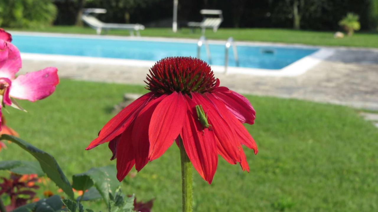 Il Gelso Di Barcuzzi Bed & Breakfast Lonato Luaran gambar